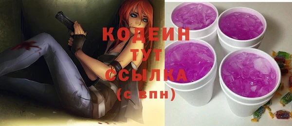 ECSTASY Алзамай