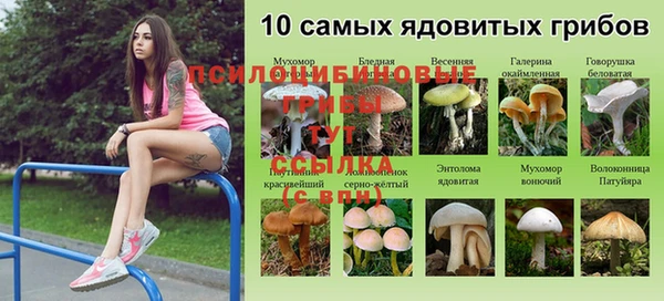 ECSTASY Алзамай