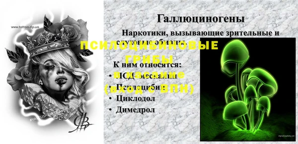ECSTASY Алзамай