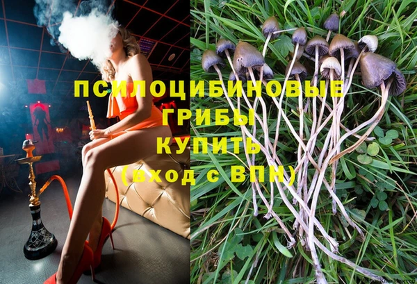 таблы Алексин