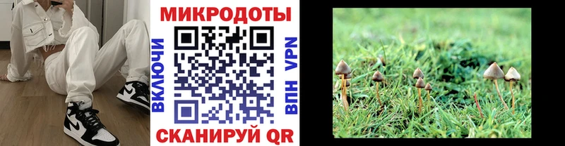Галлюциногенные грибы MAGIC MUSHROOMS  Наволоки 