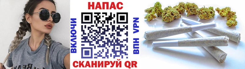 Бошки марихуана план  Наволоки 